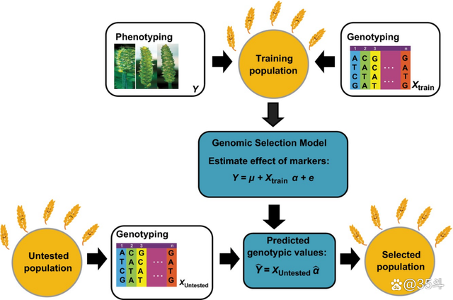 关于AI教练系统上线,战术布置更科学的信息 关于AI教练系统上线,战术布置更科学的信息