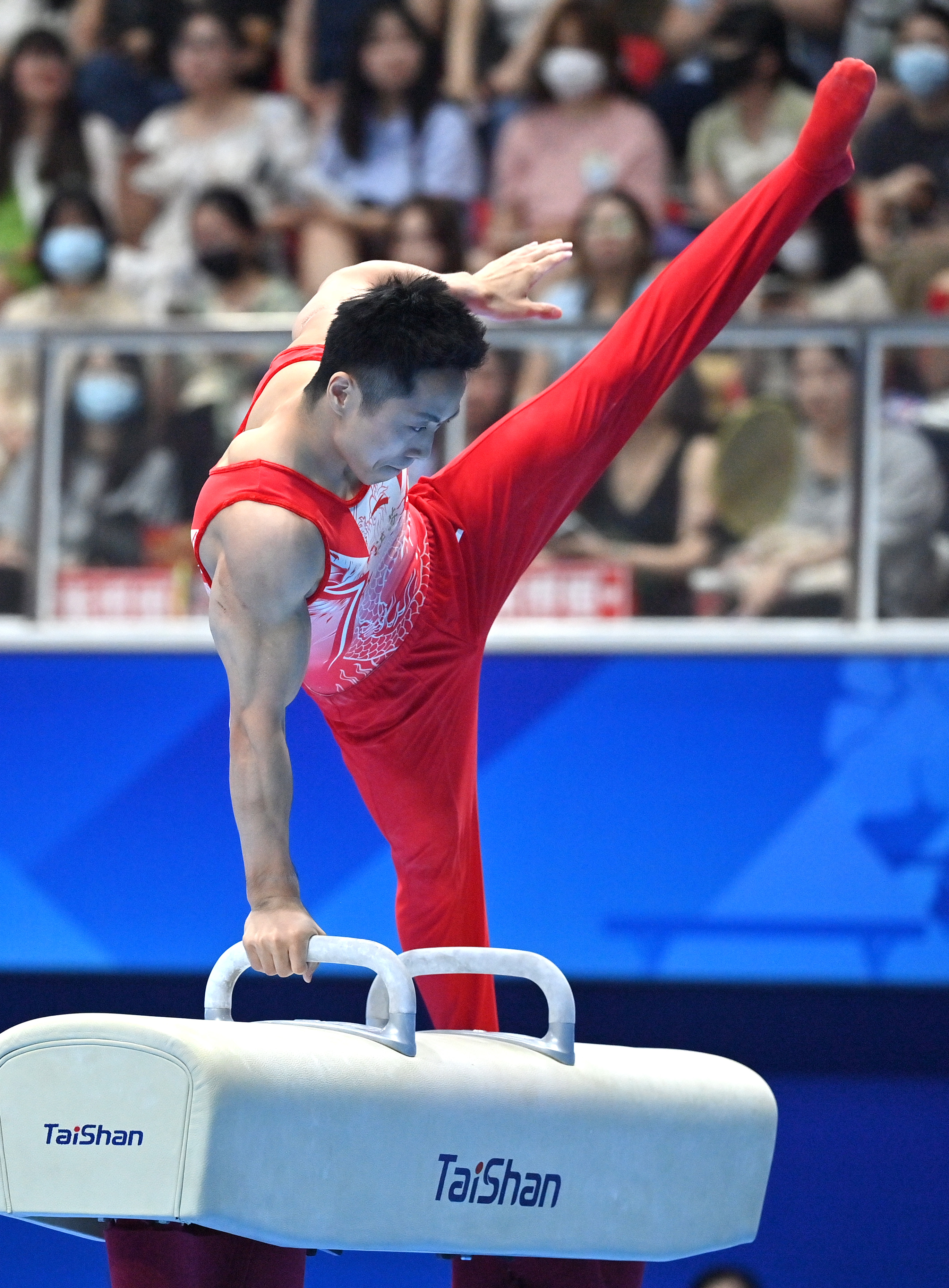 “体操赛季:全能冠军的崛起与挑战!” “体操赛季:全能冠军的崛起与挑战!”