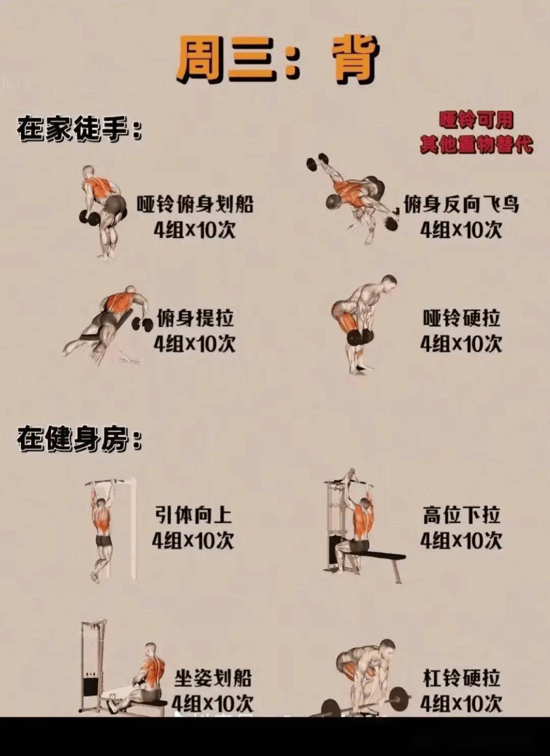 开云体育网站入口-包含一周科学健身计划（适合上班族）的词条